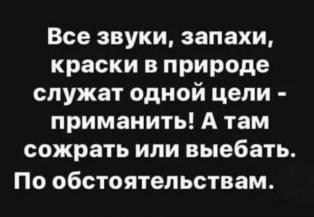 "Девочки, будьте осторожны!"