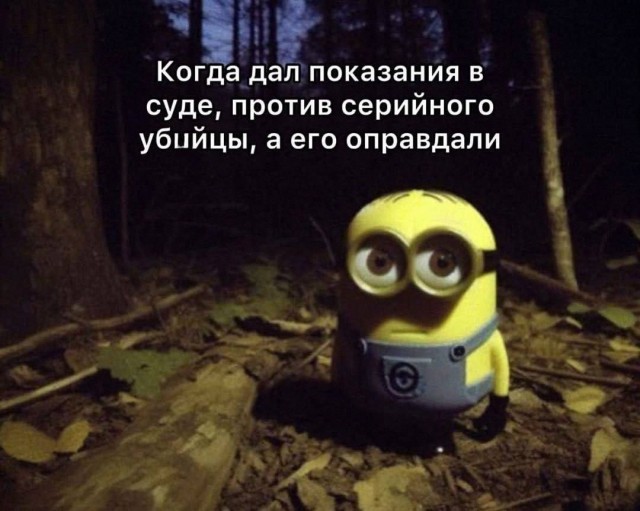 Картинки для деградации 61 (разной степени свежести)