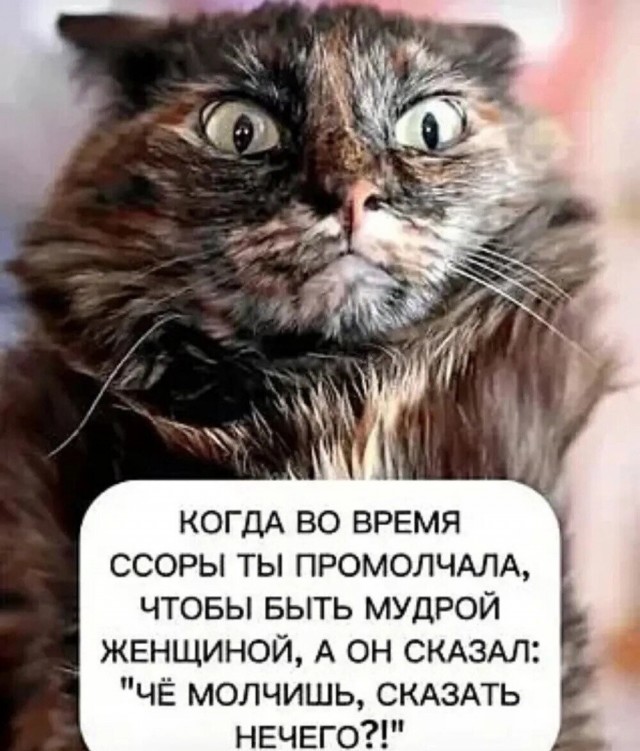 Пятничные картинки