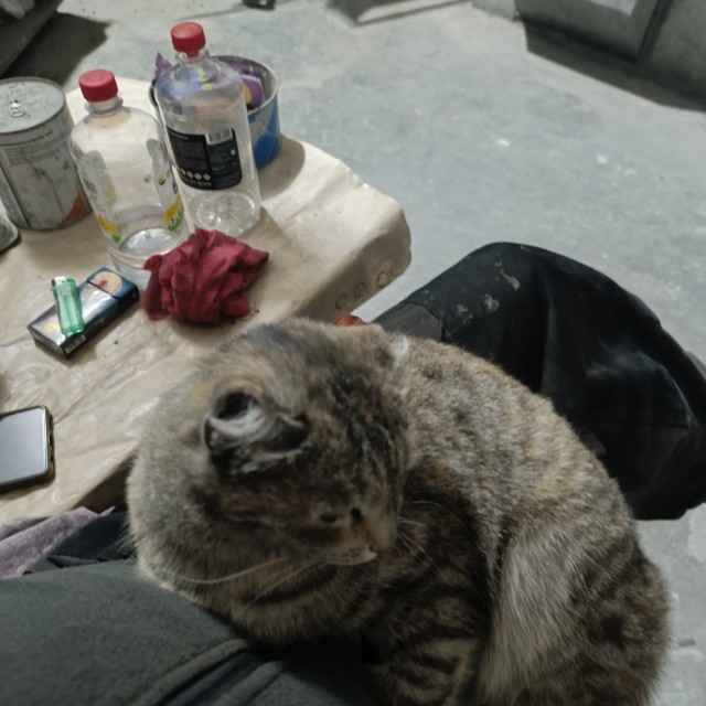 Курилка захвачена