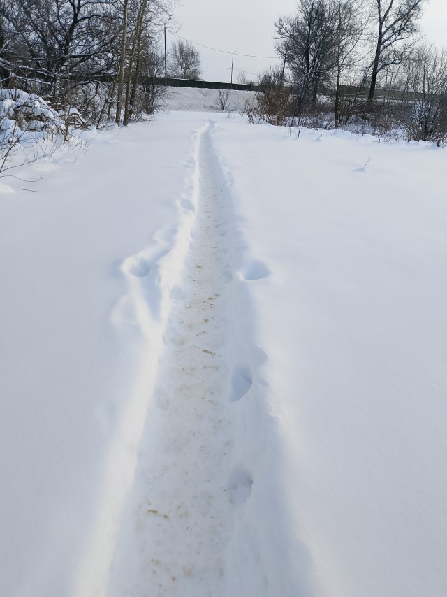 Прогулялся вчера