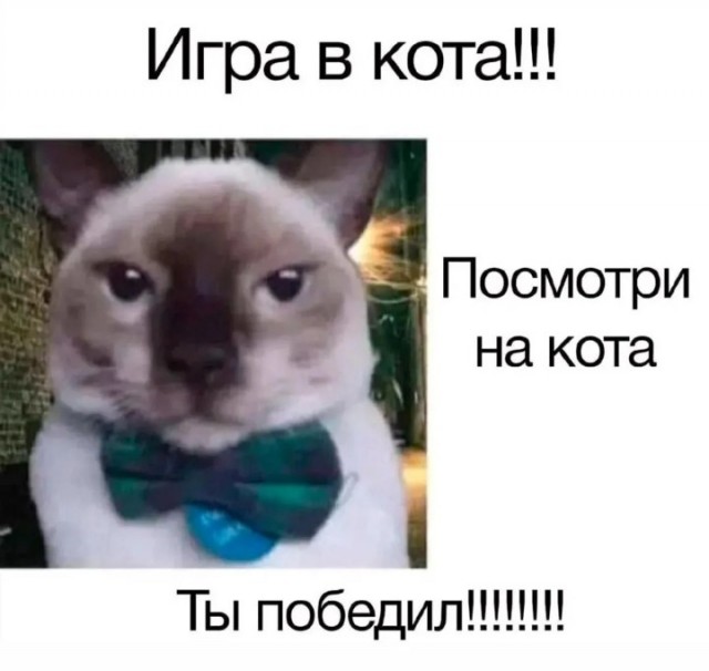 Еб@йшая еб@нин@