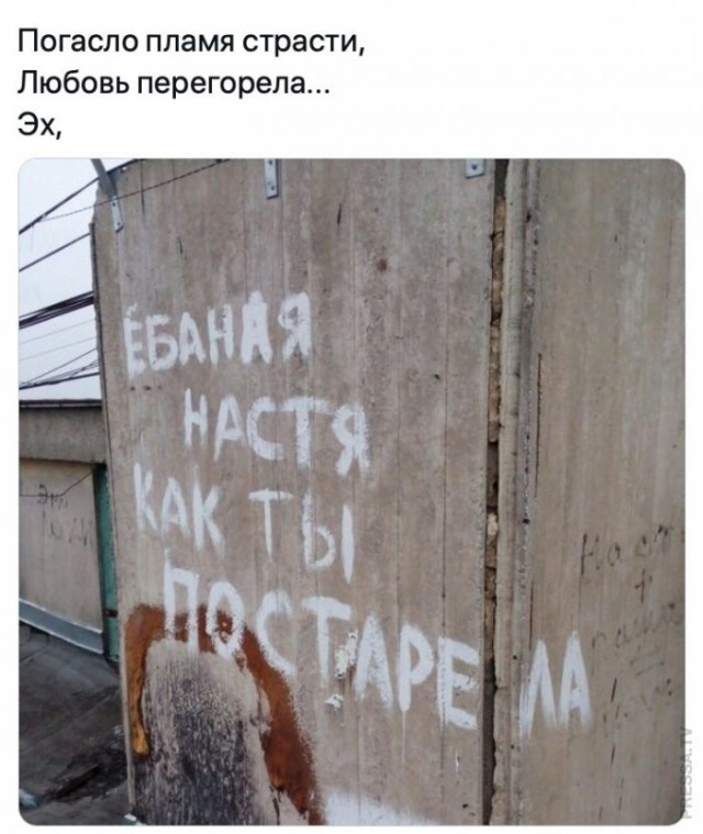 Веселые картинки в пятницу (10.04)