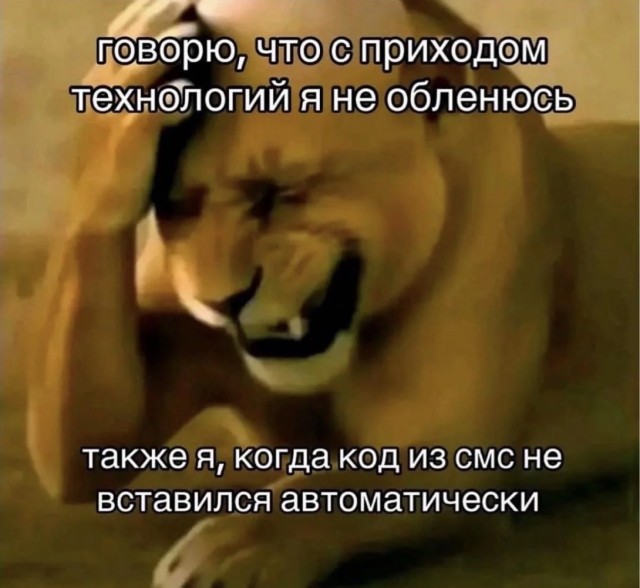 Среды картинки