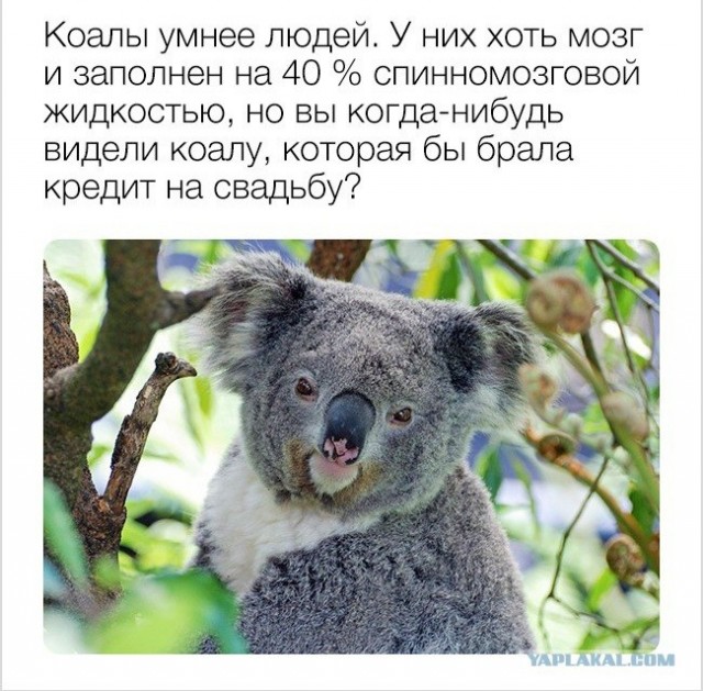 Забота о демографии