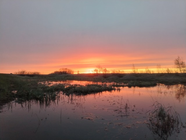 Одно фото