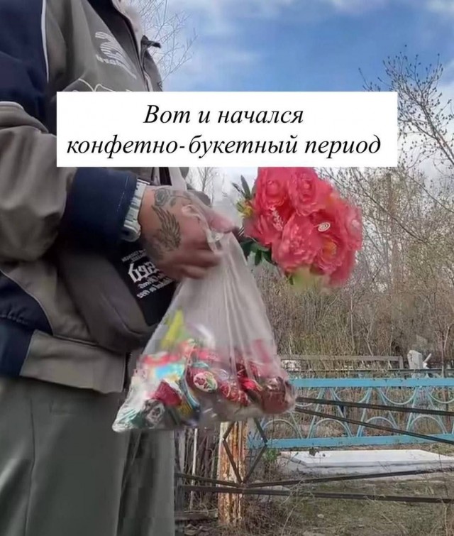 Картинки для деградации 276 (разной степени свежести)