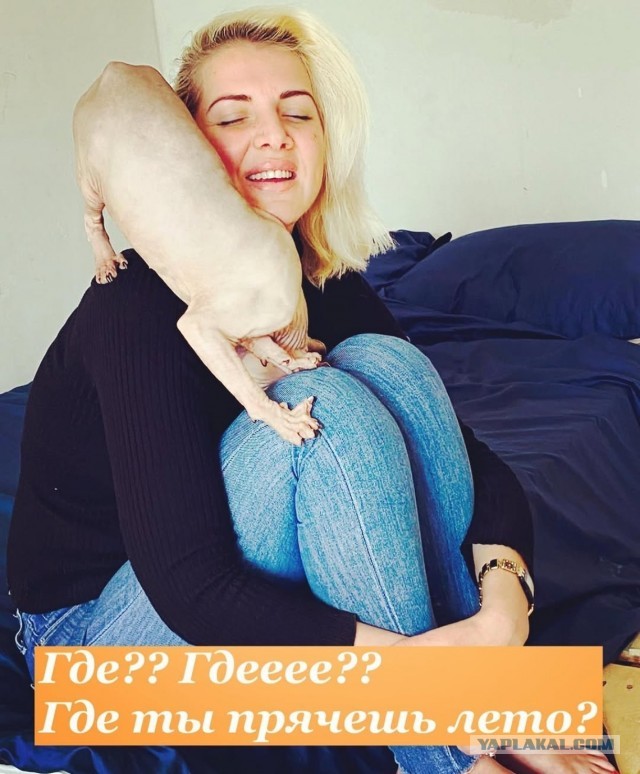 Надеюсь успела про котиков)