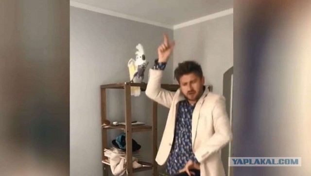 Какаду даёт мастер-класс артистизма
