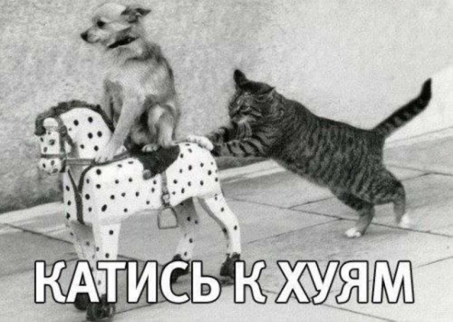 Вот мы тебя и вычислили