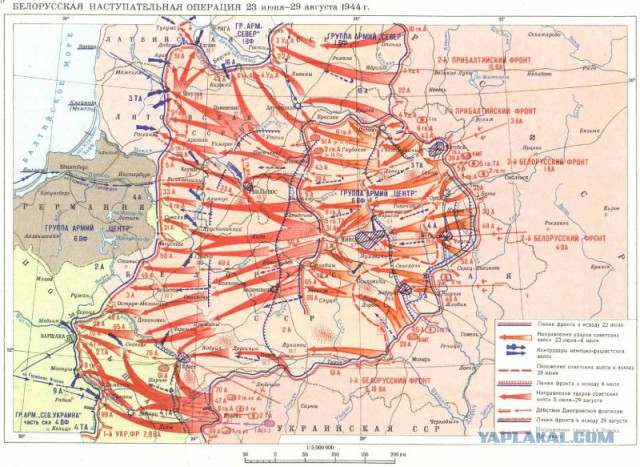 Окопные листовки конца июня 1944 года