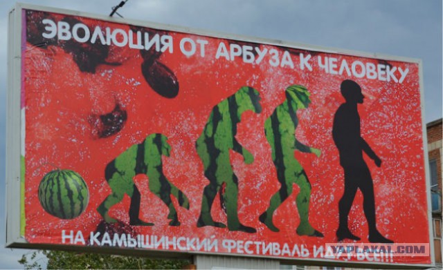Подборка весёлых картинок