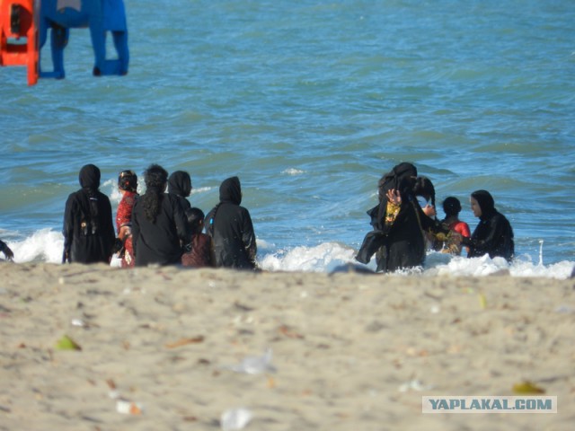 Такое увидишь только в Индии