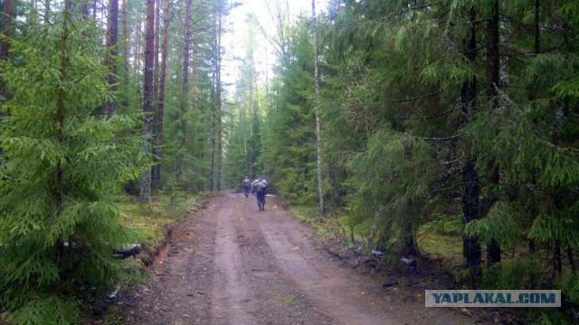 Как мы День Победы  отмечаем...