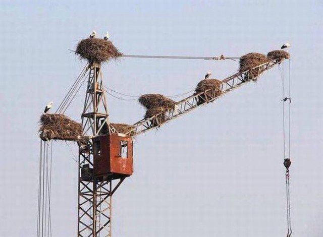 Интересные и веселые картинки