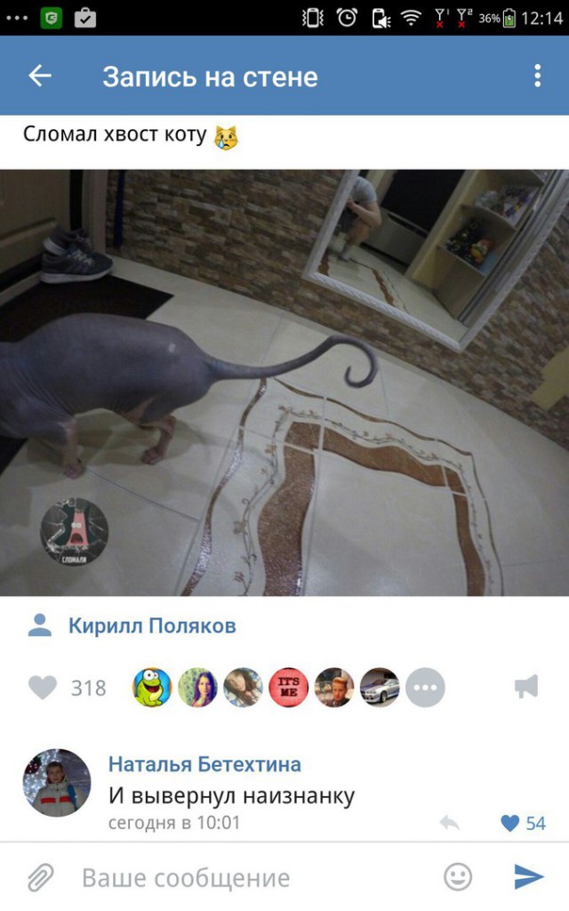 Ужасы и приколы из соцсетей 18+