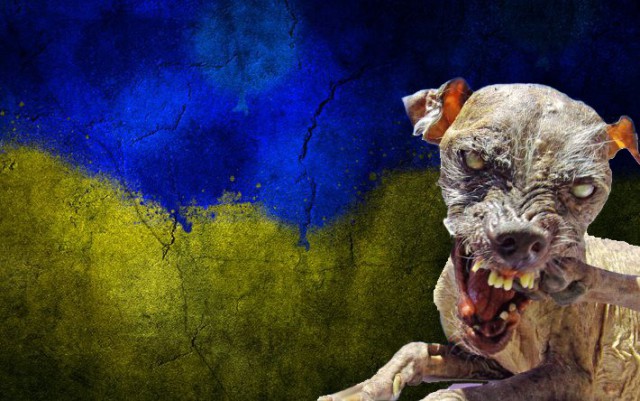В Луцке генконсульство Польши обстреляли из гранатомета