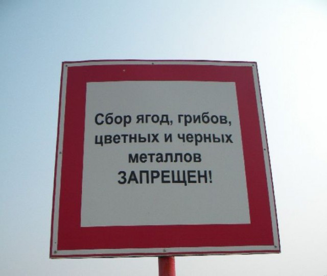 Подборка безудержного веселья