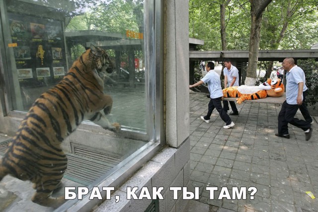 144 картинки для поднятия настроения!