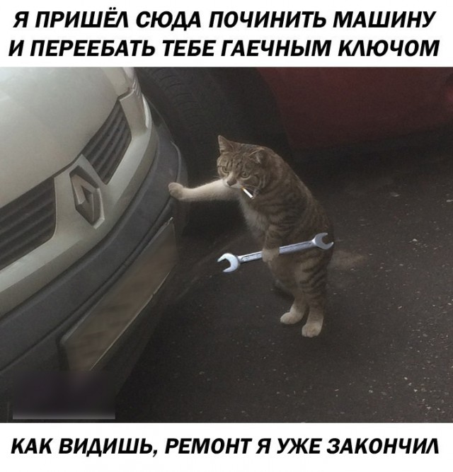 Просто юмор 9