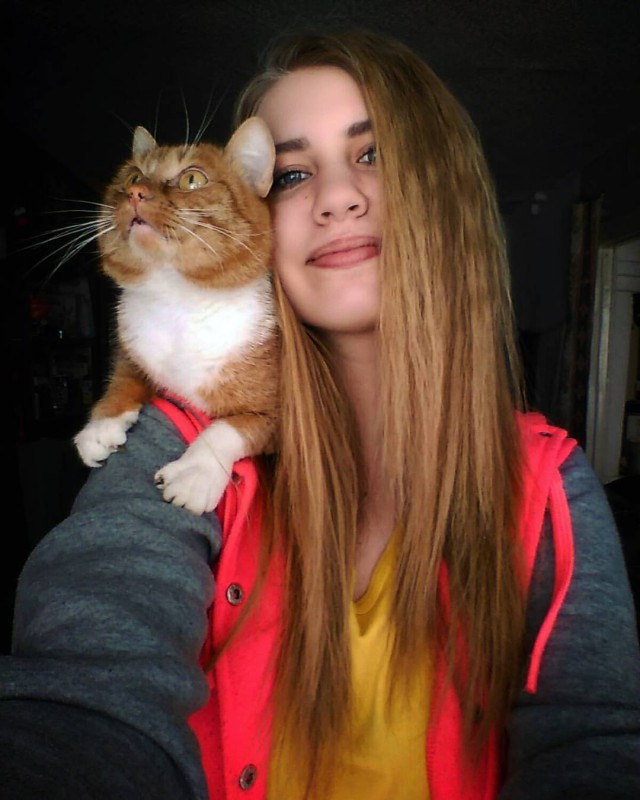 Прикольных котов пост
