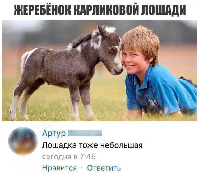 Картинки из интернетов