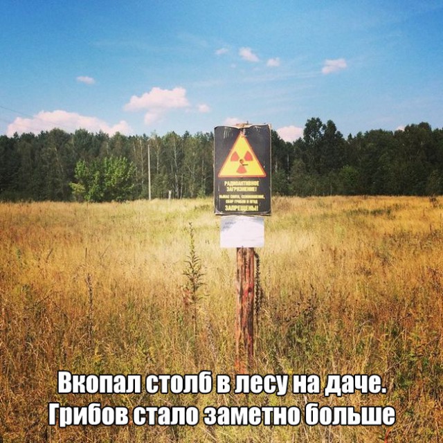 Калейдоскоп картинок