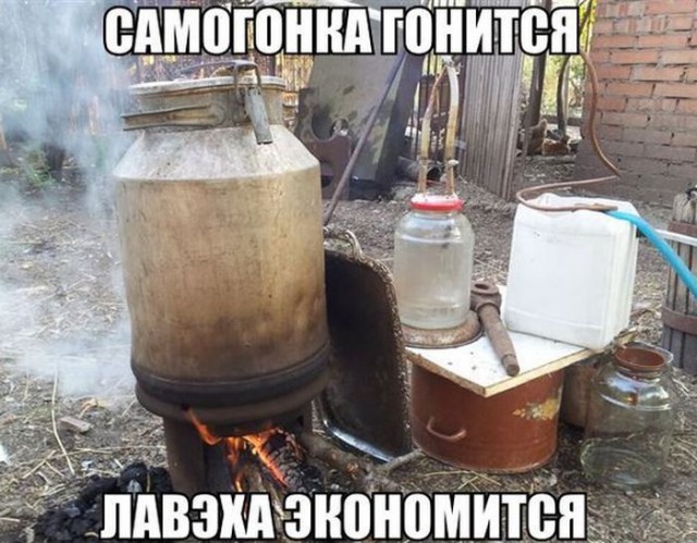 И всё-таки она наша. Лента картинок