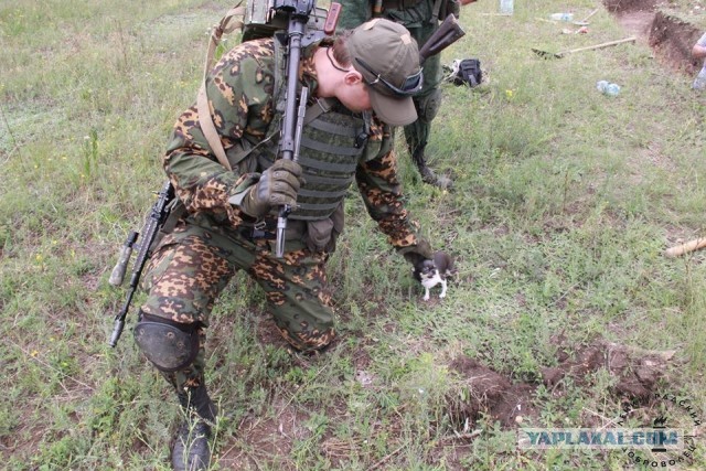Братья наши меньшие на фронте