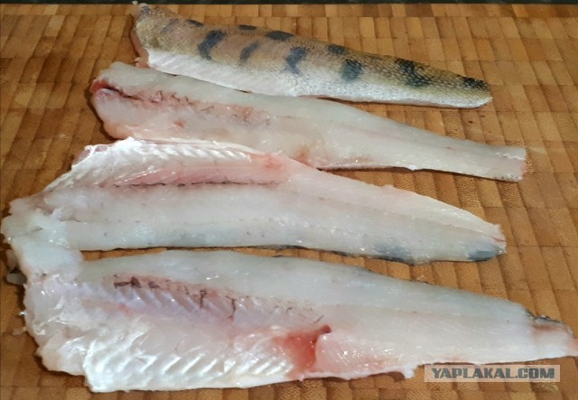 Жаренный берш с медово-огуречным соусом.