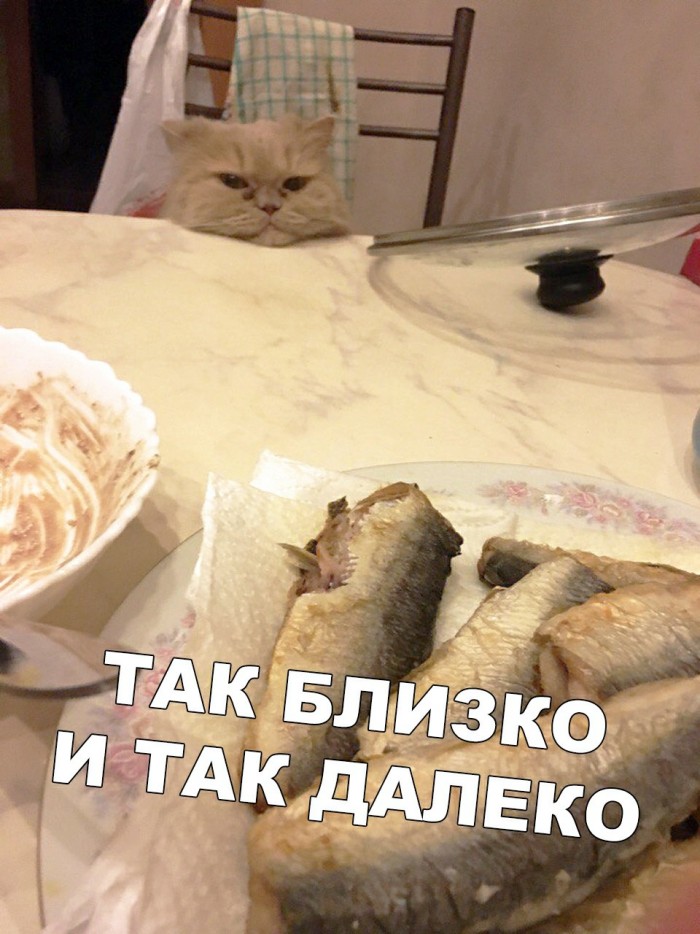 Картинки