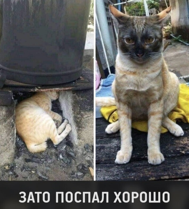 Бредзона 20.05.2020