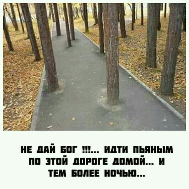Чуток картинок 29.05.20