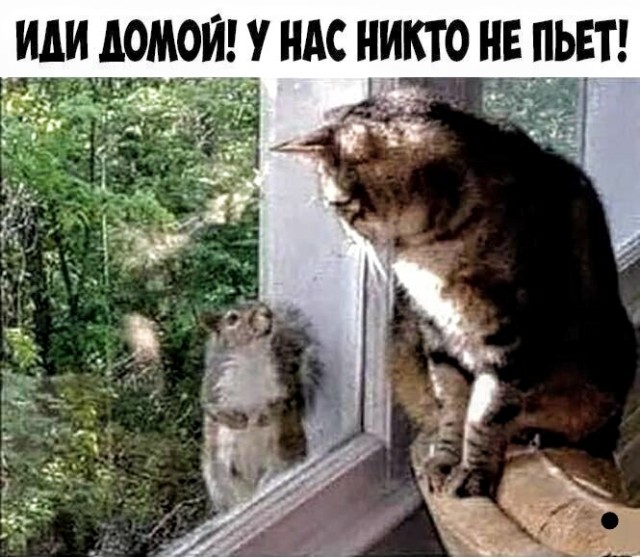 Немного картинок для настроения 112