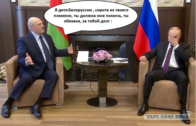 Лу и Пу: кадры со встречи Путина и Лукашенко растащили на мемы и фотожабы