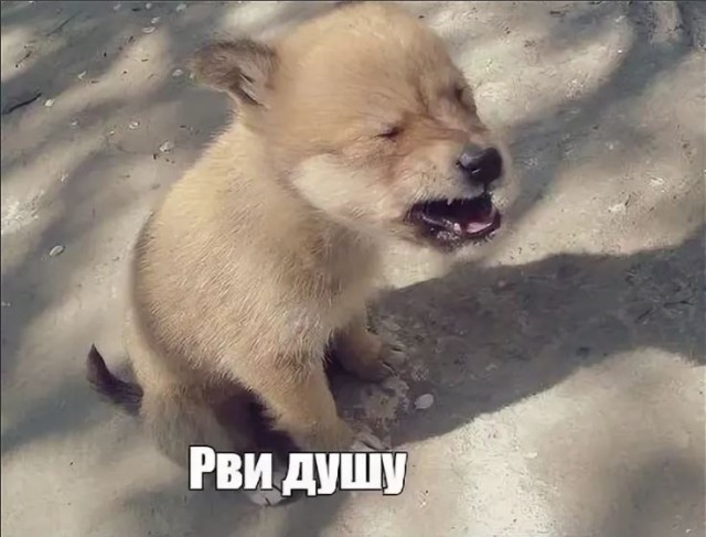 Четыре коротких а#уенных ролика