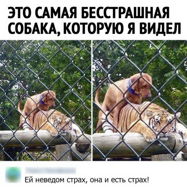 Боянистые картинки 07.12.20