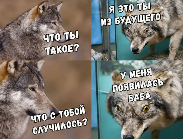 Пятница. И немного слегка пошлых картинок с надписями и без 16+ (11.12)