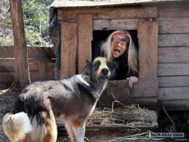 Фотожаба: Собака с Девушкой