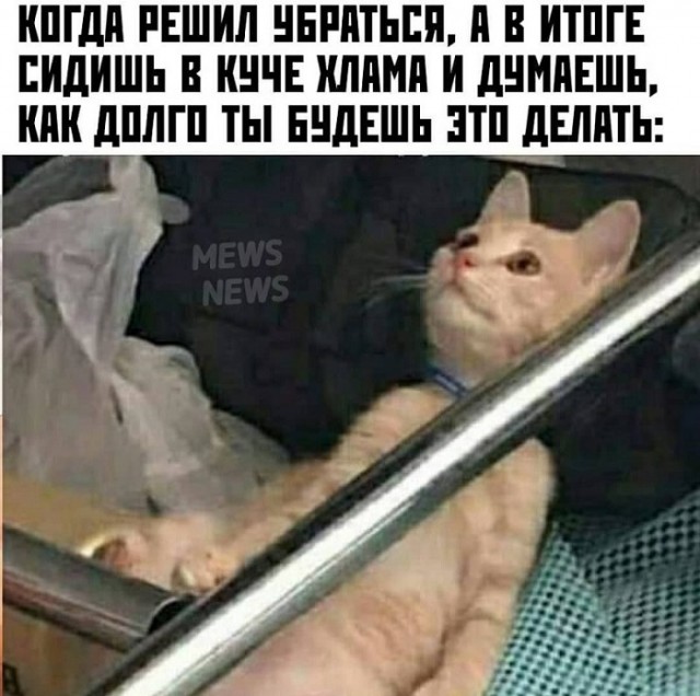 Картинки с надписями и всякие жизненные фразы 6.01.2021