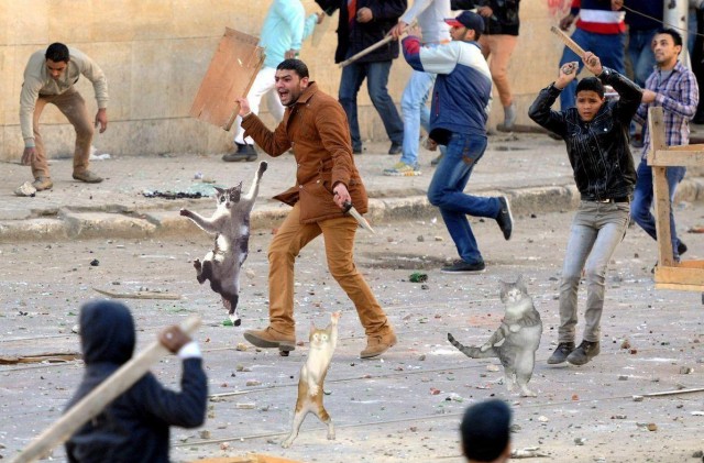 Фотожаба: Дискотека "Египет"