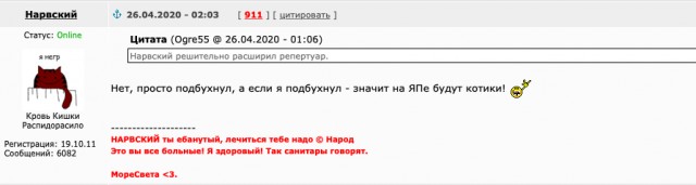 Последние котики января