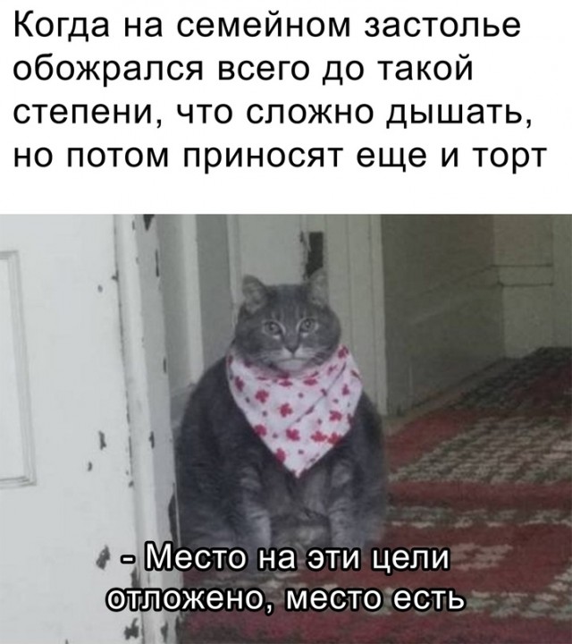 Весёлый полтишок 4.03