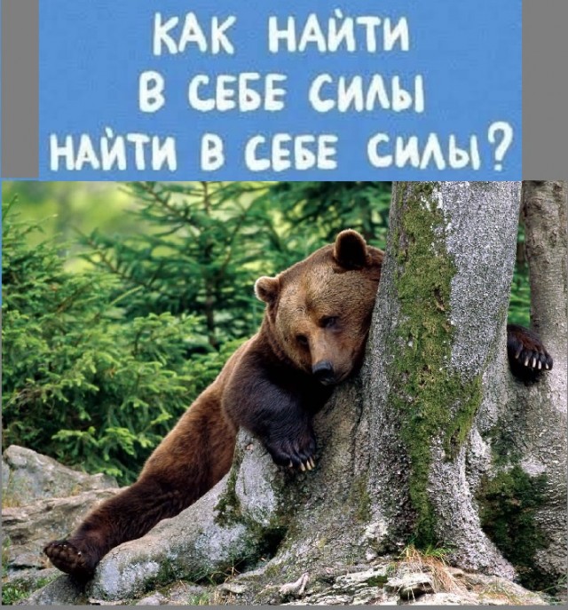 Картинки с надписями и всякие жизненные фразы