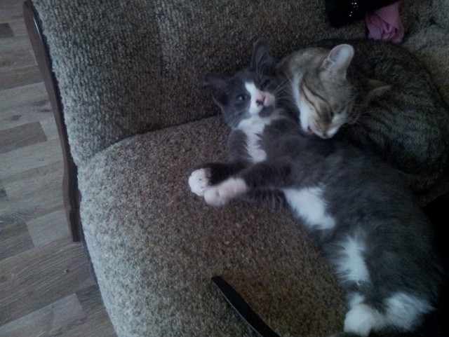 Странная сумка...