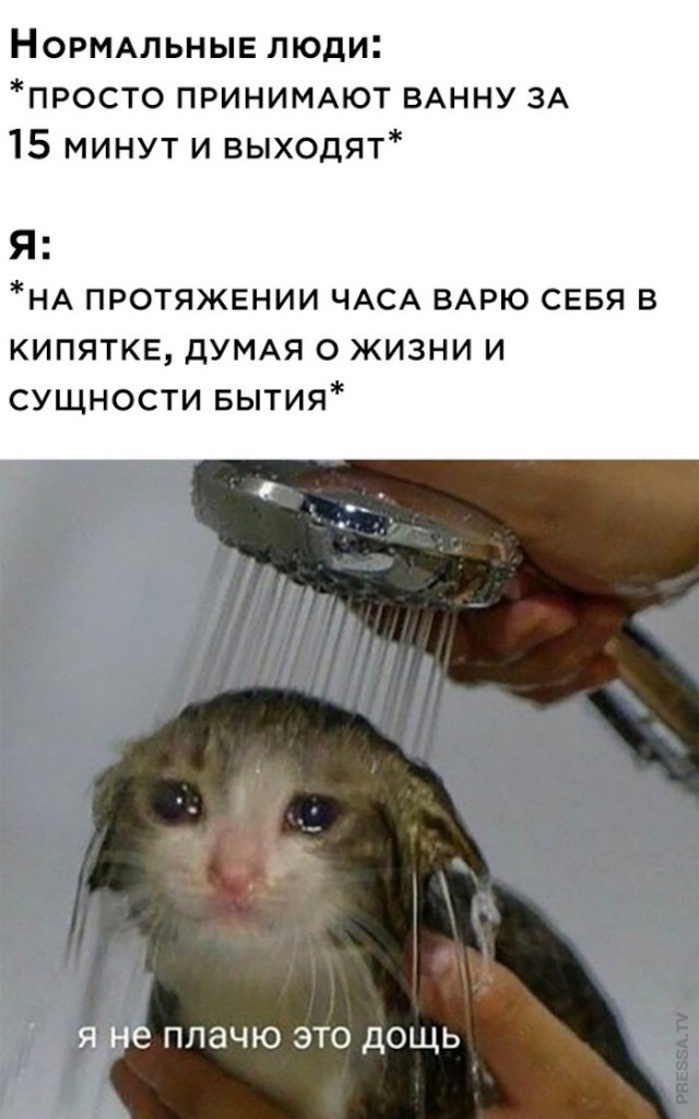 Всякие картинки