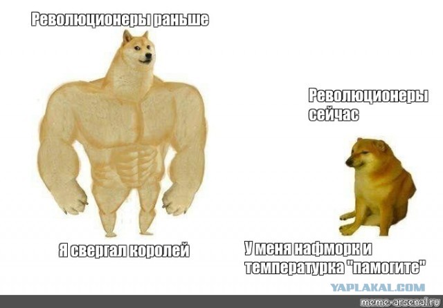 Мосгорсуд признал ФБК и "Штабы Навального" экстремистскими организациями