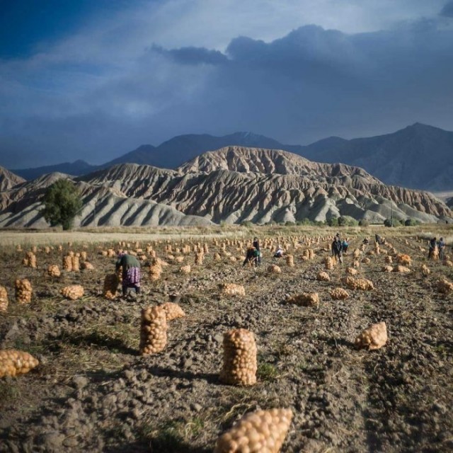 Картинки и мемы для настроения 28.07.2021