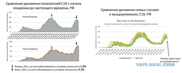 Пандемия. Коронавирус. Россия и мир. Последняя информация. Часть 23
