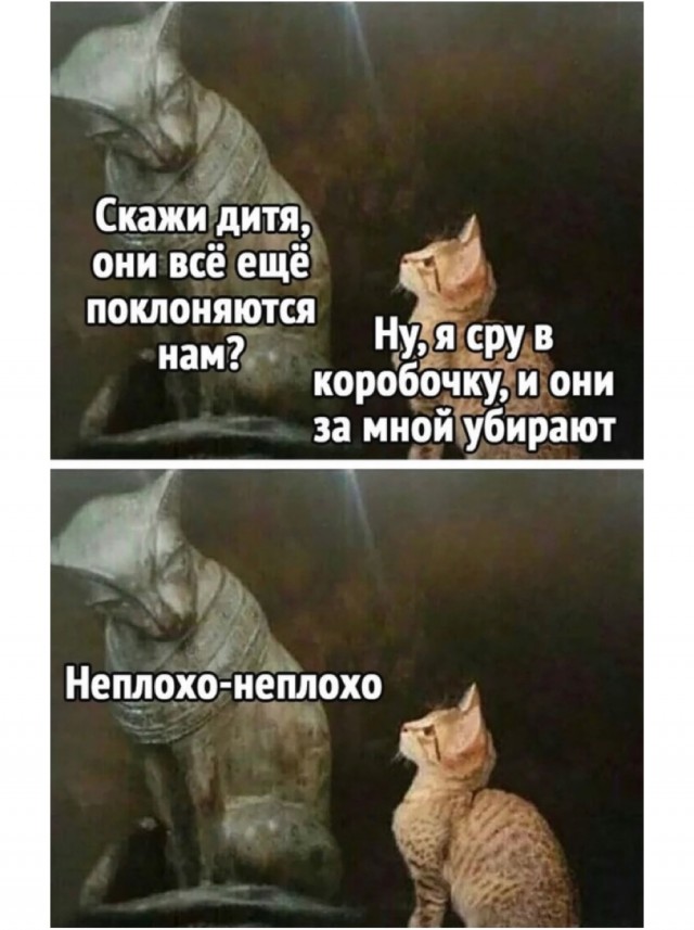 Картинки и мемы для настроения 01.12.2021